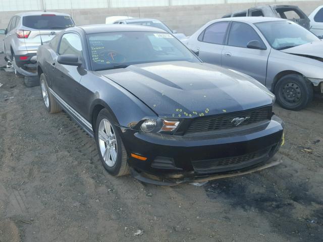 1ZVBP8AN3A5135908 - 2010 FORD MUSTANG BLACK photo 1