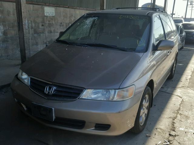 5FNRL18973B119404 - 2003 HONDA ODYSSEY EX GOLD photo 2