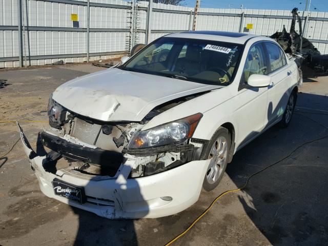 1HGCP36869A023346 - 2009 HONDA ACCORD EXL WHITE photo 2