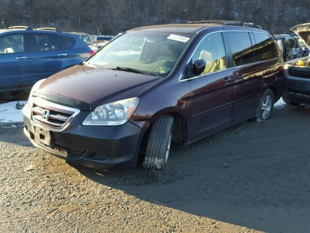 5FNRL38607B408860 - 2007 HONDA ODYSSEY EX RED photo 2