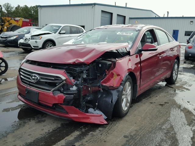 5NPE24AA1GH426842 - 2016 HYUNDAI SONATA ECO RED photo 2