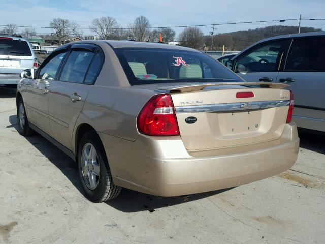 1G1ZT52885F250565 - 2005 CHEVROLET MALIBU LS GOLD photo 3