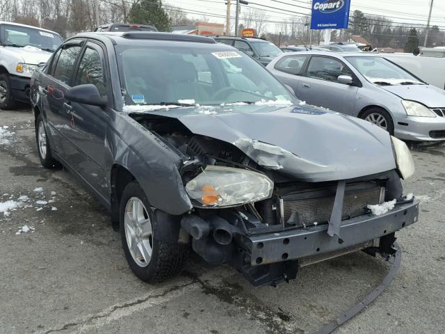 1G1ZT54825F244581 - 2005 CHEVROLET MALIBU LS BLUE photo 1