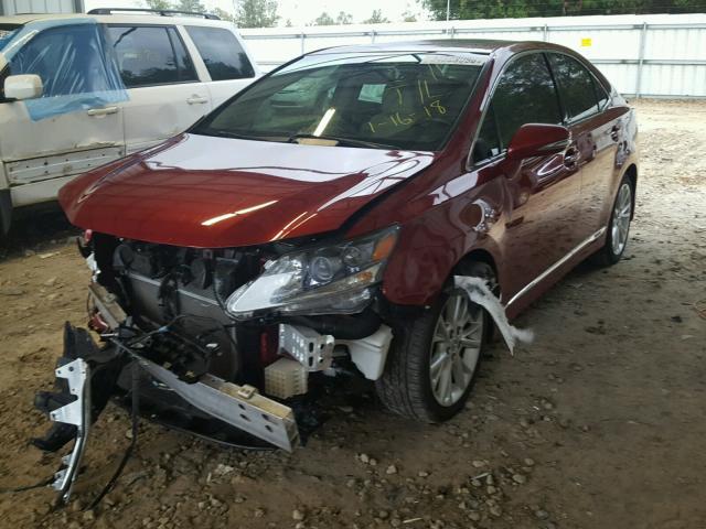 JTHBB1BA2A2019104 - 2010 LEXUS HS 250H BURGUNDY photo 2