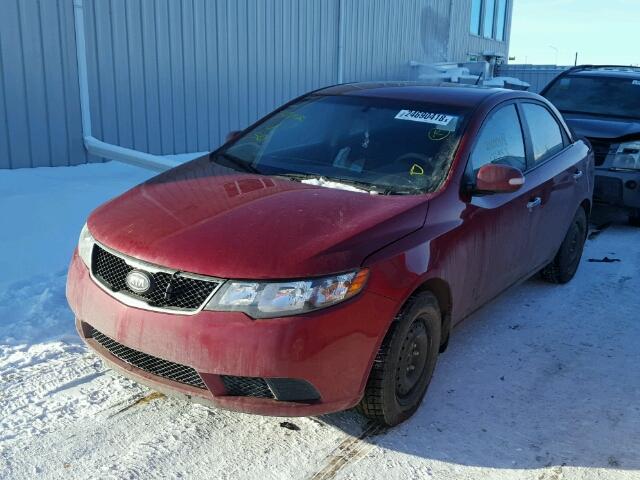 KNAFU4A21A5264514 - 2010 KIA FORTE EX RED photo 2