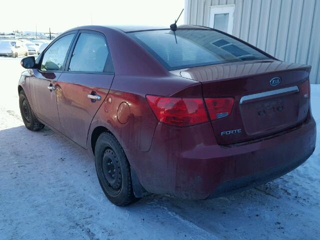 KNAFU4A21A5264514 - 2010 KIA FORTE EX RED photo 3