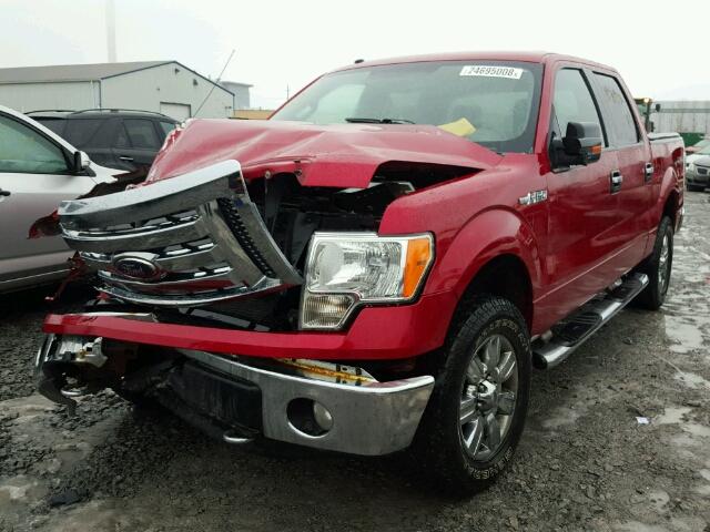 1FTPW14V59KC86907 - 2009 FORD F150 SUPER RED photo 2