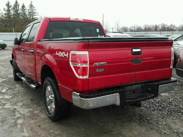 1FTPW14V59KC86907 - 2009 FORD F150 SUPER RED photo 3