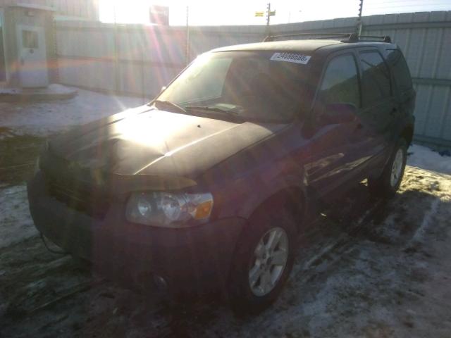 1FMYU93176KC61196 - 2006 FORD ESCAPE XLT BLACK photo 2