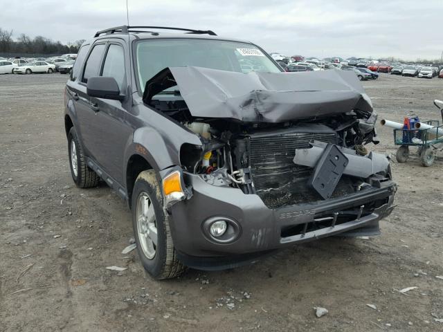 1FMCU0DG1BKC39665 - 2011 FORD ESCAPE XLT GRAY photo 1