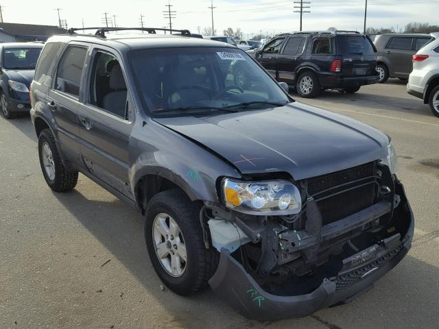 1FMYU93175KC05063 - 2005 FORD ESCAPE XLT GRAY photo 1