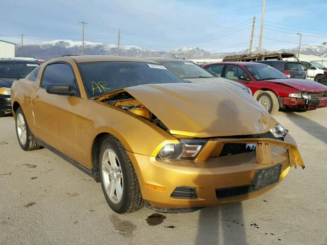 1ZVBP8AN7A5103981 - 2010 FORD MUSTANG GOLD photo 1