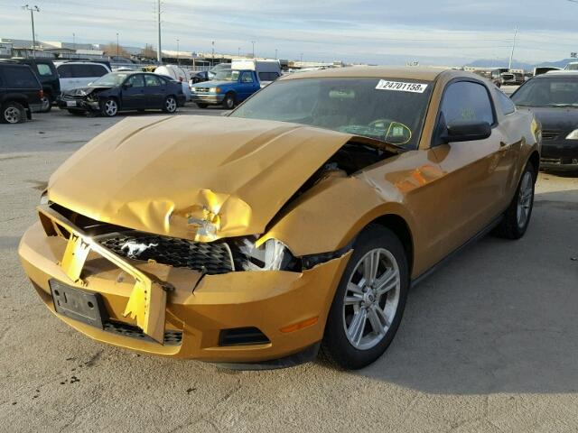 1ZVBP8AN7A5103981 - 2010 FORD MUSTANG GOLD photo 2