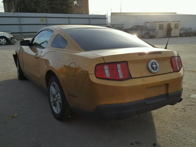 1ZVBP8AN7A5103981 - 2010 FORD MUSTANG GOLD photo 3