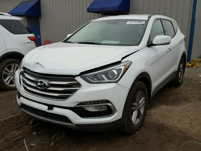 5NMZU3LB5HH006253 - 2017 HYUNDAI SANTA FE S WHITE photo 2