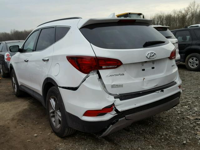 5NMZU3LB5HH006253 - 2017 HYUNDAI SANTA FE S WHITE photo 3