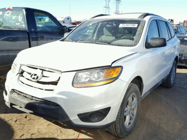 5NMSGDAB6AH401646 - 2010 HYUNDAI SANTA FE G WHITE photo 2