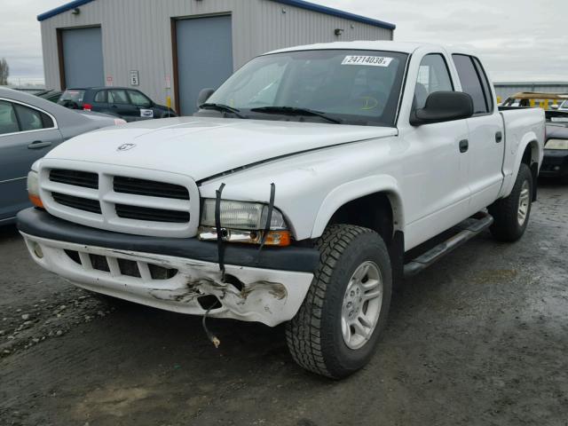 1B7HG38N52S619538 - 2002 DODGE DAKOTA QUA WHITE photo 2