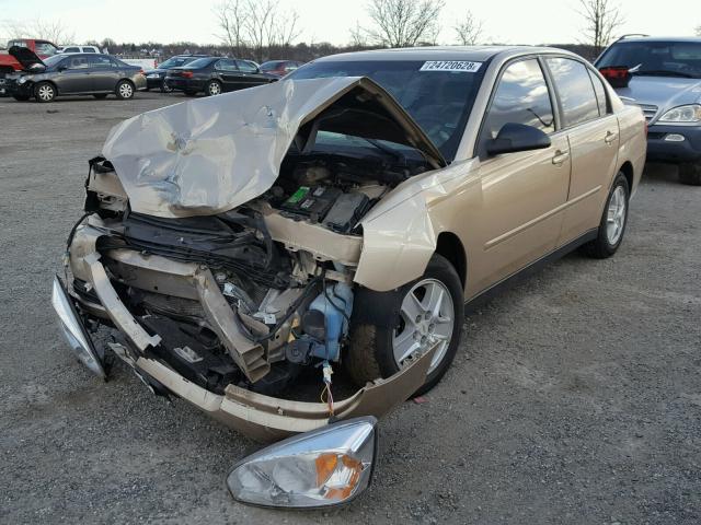 1G1ZT54894F118345 - 2004 CHEVROLET MALIBU LS ოქროსფერი ფოტო 2