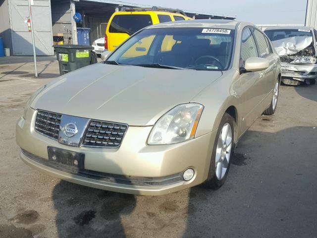 1N4BA41E24C810070 - 2004 NISSAN MAXIMA SE GOLD photo 2