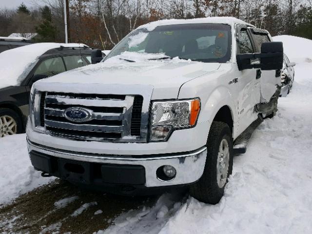 1FTFW1ET1CFB59628 - 2012 FORD F150 SUPER WHITE photo 2