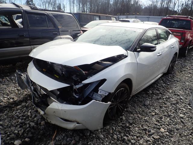 1N4AA6AP3HC415006 - 2017 NISSAN MAXIMA 3.5 WHITE photo 2