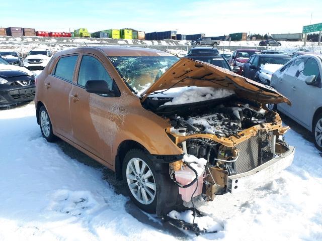 2T1KU40E59C064926 - 2009 TOYOTA COROLLA MA GOLD photo 1