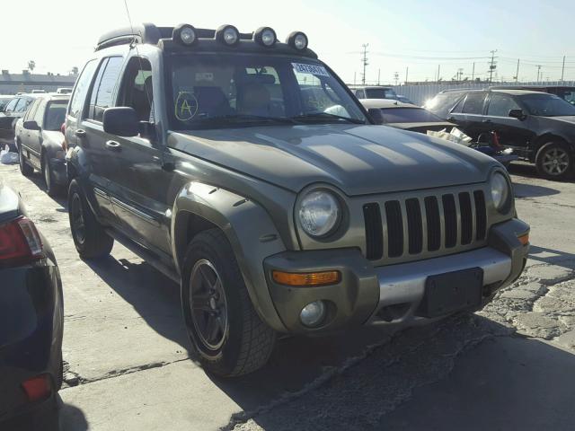 1J8GK38K04W206141 - 2004 JEEP LIBERTY RE GREEN photo 1