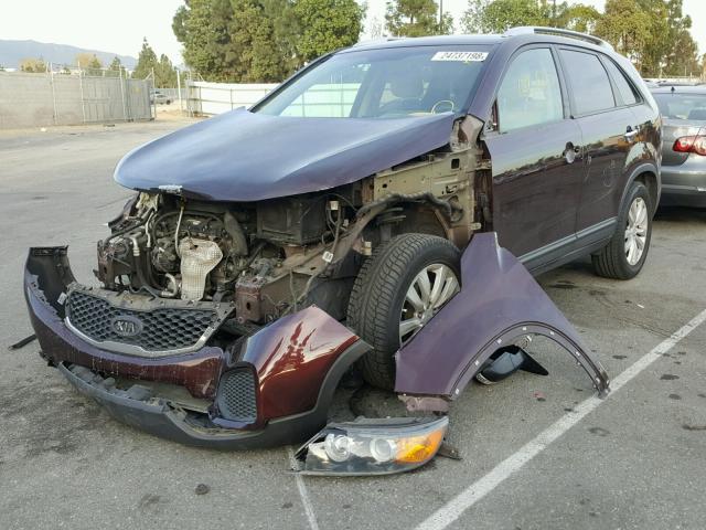 5XYKT4A22BG059894 - 2011 KIA SORENTO BA PURPLE photo 2