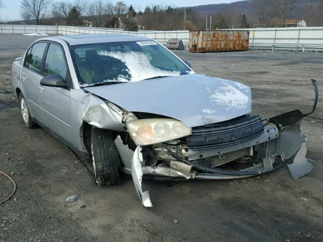 1G1ZT54845F287397 - 2005 CHEVROLET MALIBU LS SILVER photo 1