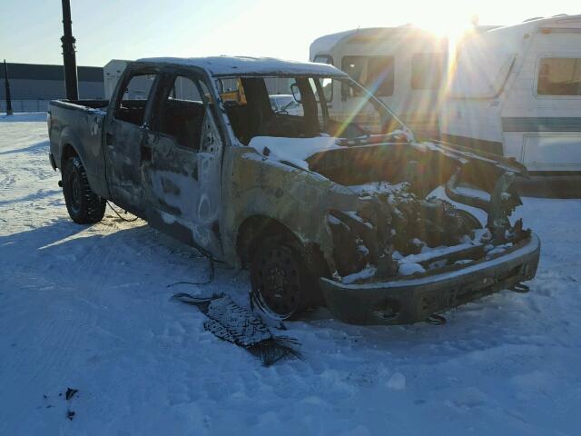 1FTFW1ET8CFA49546 - 2012 FORD F150 SUPER BURN photo 1