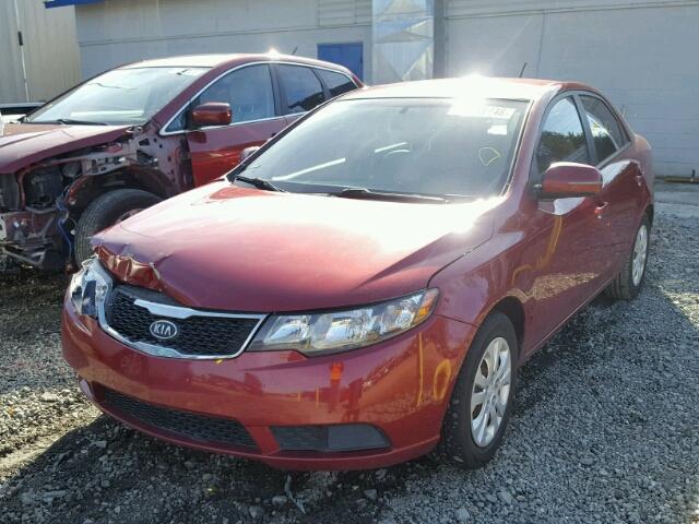 KNAFU4A24C5509552 - 2012 KIA FORTE EX RED photo 2