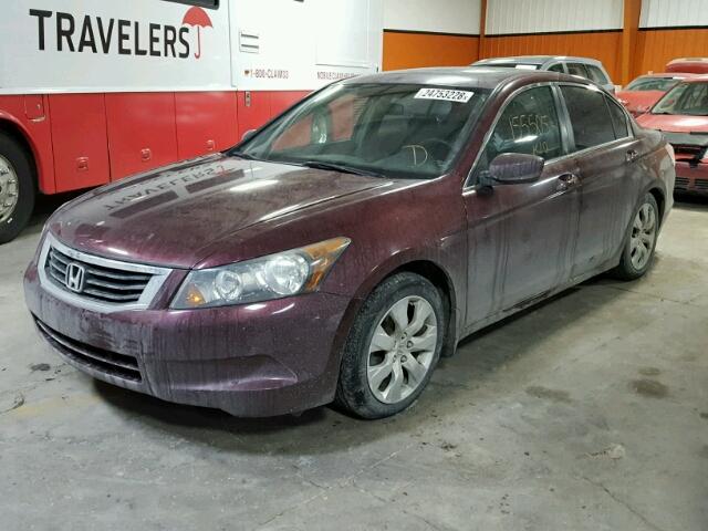 1HGCP26719A806964 - 2009 HONDA ACCORD EX BURGUNDY photo 2