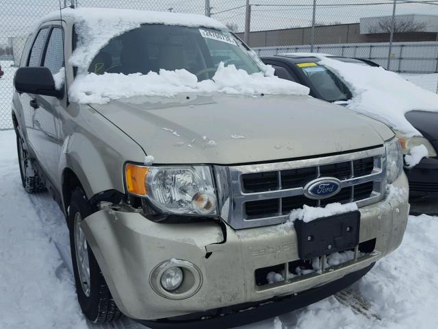 1FMCU0D7XBKC40832 - 2011 FORD ESCAPE XLT GOLD photo 1