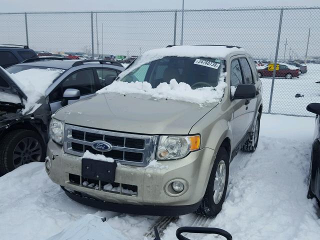 1FMCU0D7XBKC40832 - 2011 FORD ESCAPE XLT GOLD photo 2