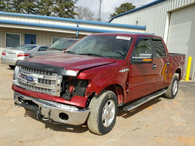 1FTFW1EF7EKD01520 - 2014 FORD F150 SUPER RED photo 2