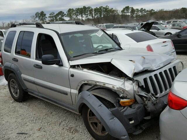 1J4GK38K16W221736 - 2006 JEEP LIBERTY RE GRAY photo 1