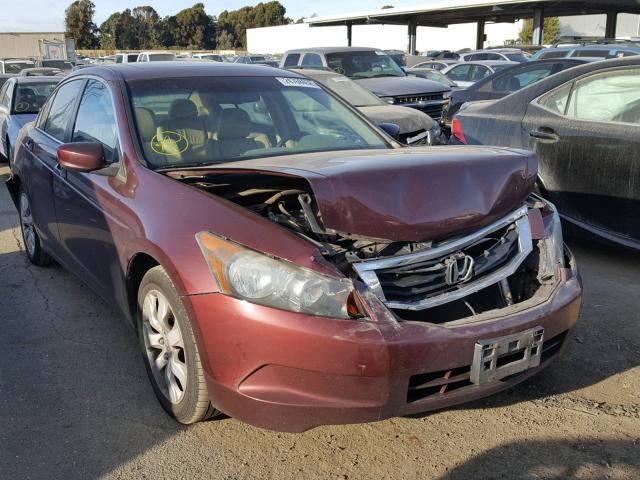 1HGCP2F80AA081029 - 2010 HONDA ACCORD EXL BURGUNDY photo 1
