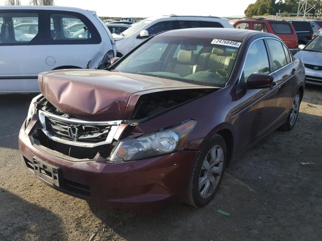 1HGCP2F80AA081029 - 2010 HONDA ACCORD EXL BURGUNDY photo 2