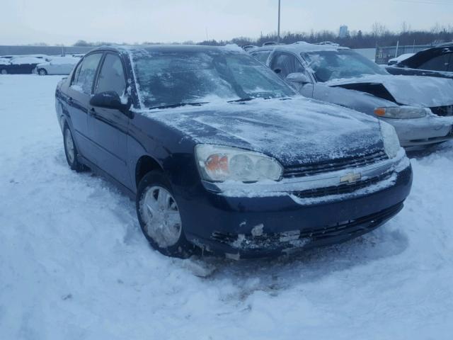 1G1ZT52875F257393 - 2005 CHEVROLET MALIBU LS BLUE photo 1