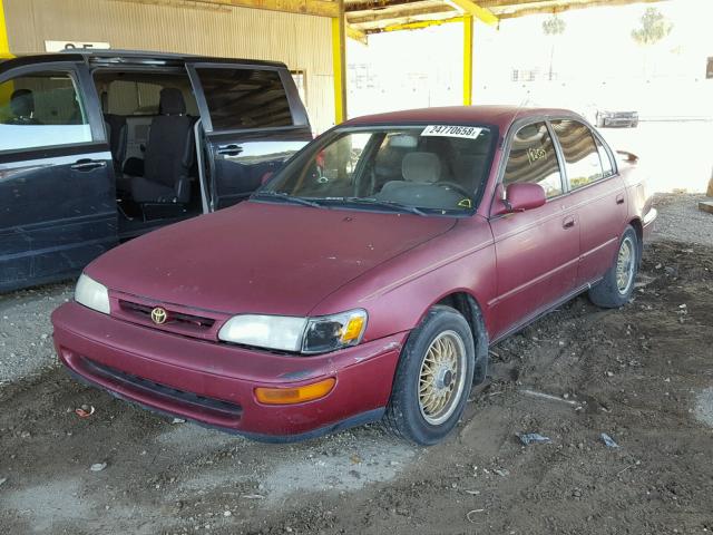 1NXBB02EXTZ445155 - 1996 TOYOTA COROLLA DX MAROON photo 2