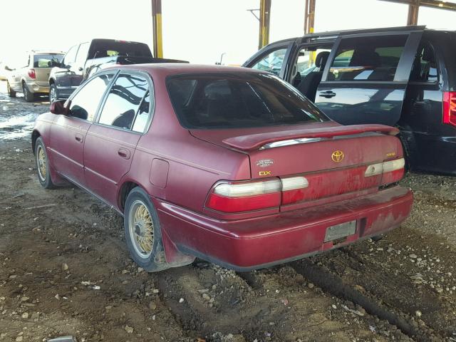 1NXBB02EXTZ445155 - 1996 TOYOTA COROLLA DX MAROON photo 3