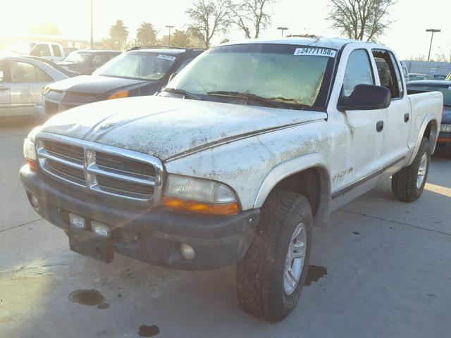 1B7GG2AZ61S212426 - 2001 DODGE DAKOTA QUA WHITE photo 2