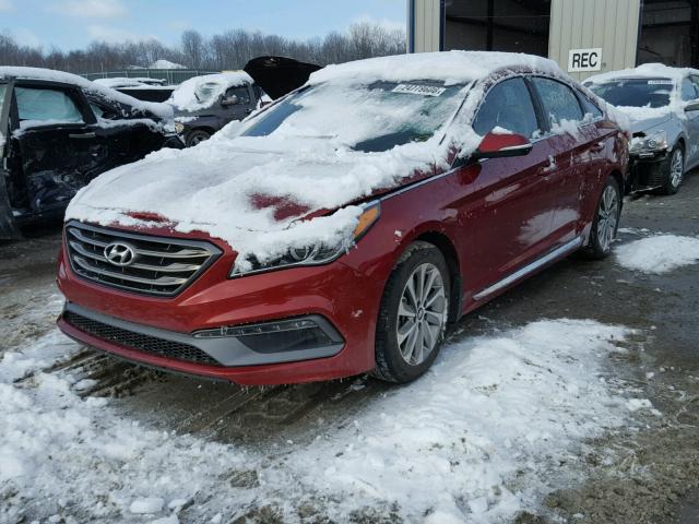 5NPE34AF1GH378915 - 2016 HYUNDAI SONATA SPO RED photo 2