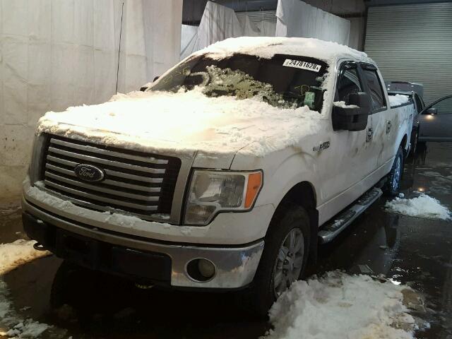 1FTFW1EV8AFB79616 - 2010 FORD F150 SUPER WHITE photo 2