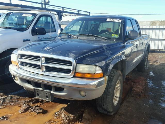 1B7HG2AN11S262636 - 2001 DODGE DAKOTA QUA BLUE photo 2