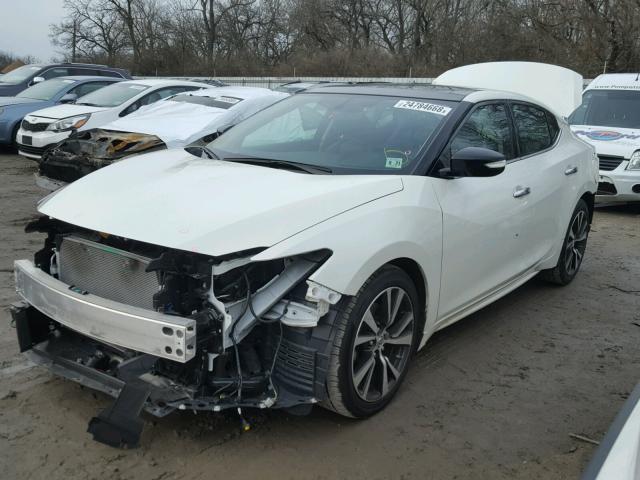 1N4AA6APXGC903447 - 2016 NISSAN MAXIMA 3.5 WHITE photo 2