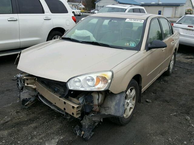 1G1ZU54874F103811 - 2004 CHEVROLET MALIBU LT GOLD photo 2