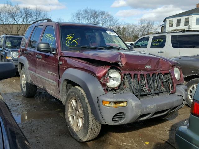 1J4GL48K83W628726 - 2003 JEEP LIBERTY SP PURPLE photo 1