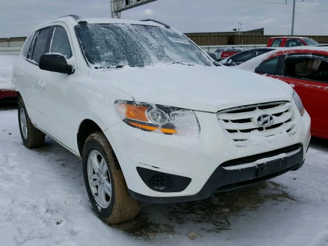 5NMSG3AB6AH349400 - 2010 HYUNDAI SANTA FE G WHITE photo 1